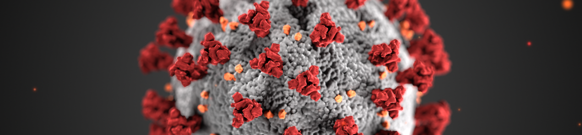 Koronavírus: tények, tévhitek